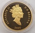Canada: 100 dollars 2000 i etui fra Royal Canadian Mint thumbnail